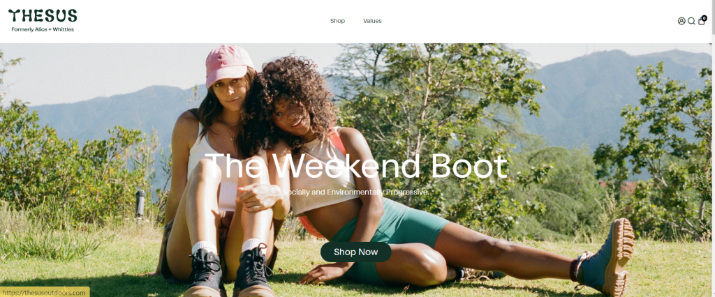 Footwear ecommerce web design