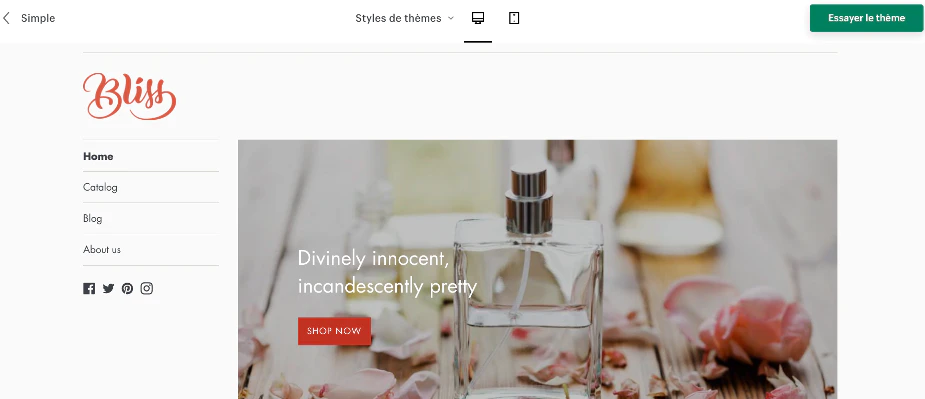 theme Shopify SImple