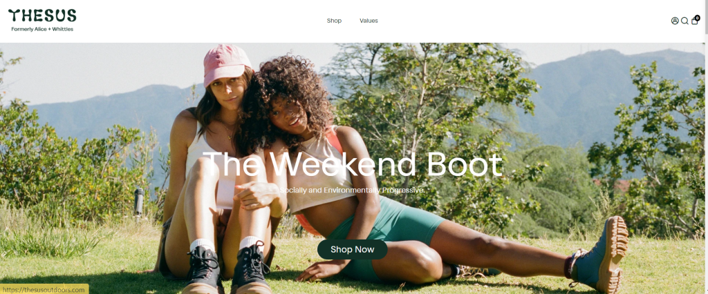 footwear Ecommerce web design