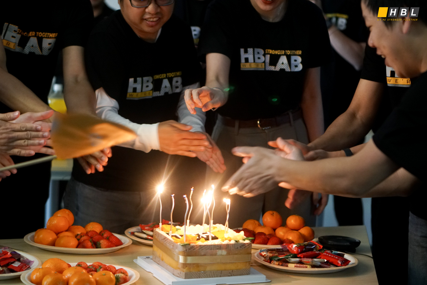 HBLAB 10 years 20