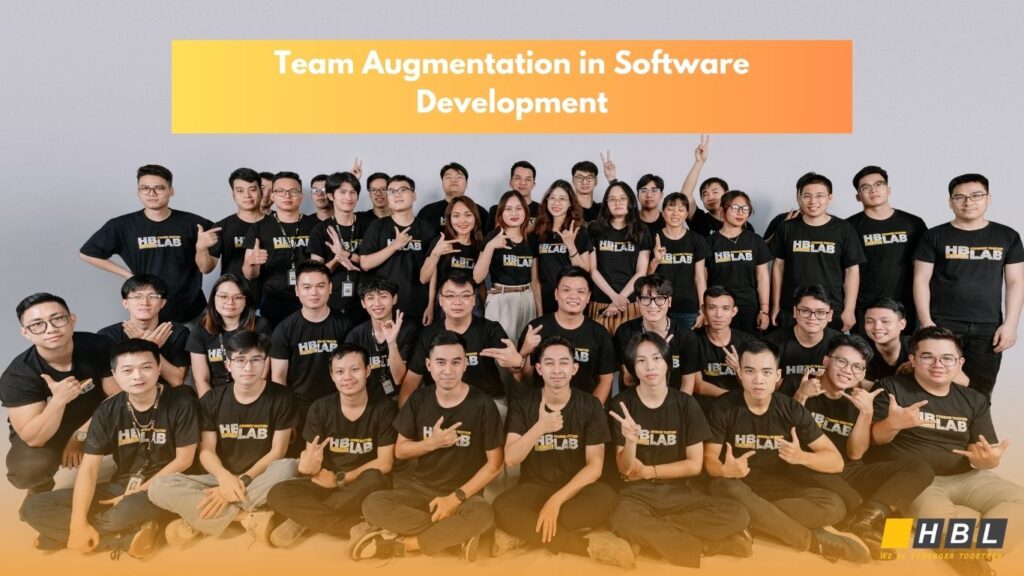 Team Augmentation in Software Development