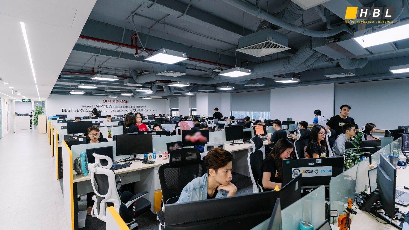 Team Augmentation in Software Development