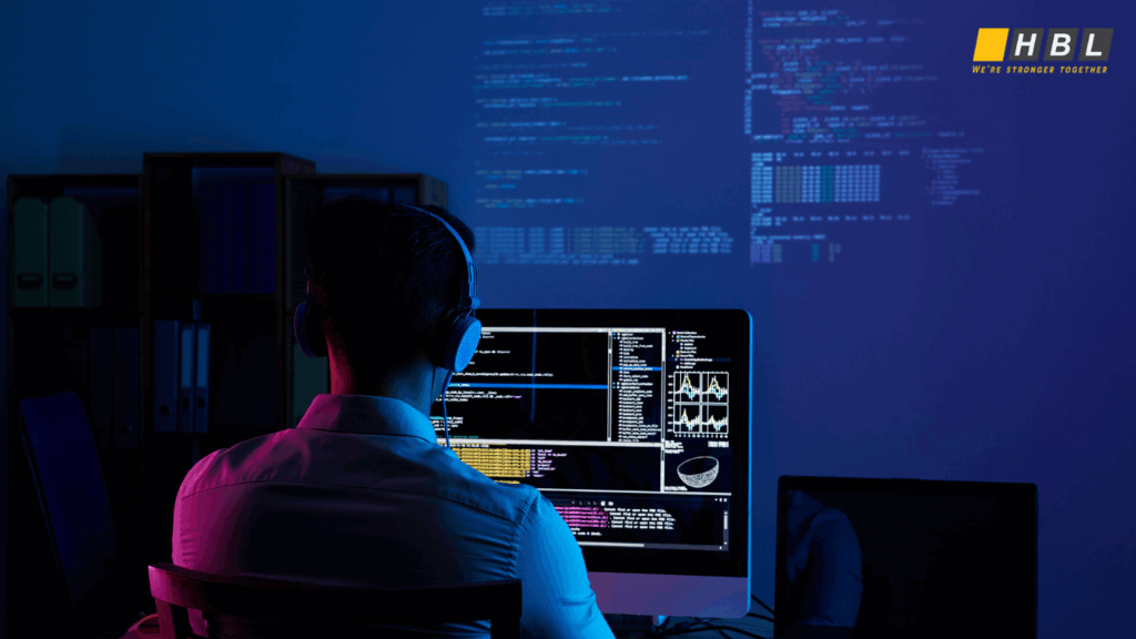 IT Developer