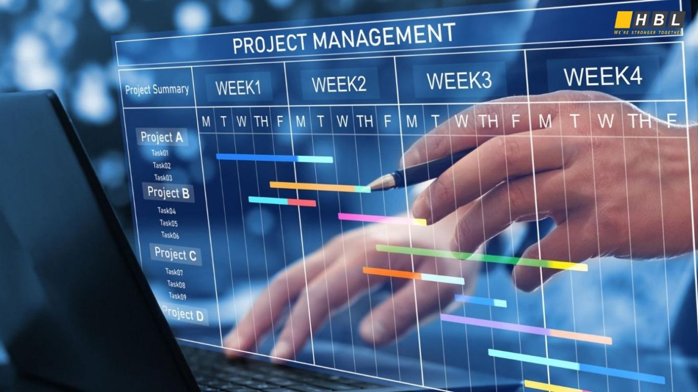 What Is a Project in Software Project Management?