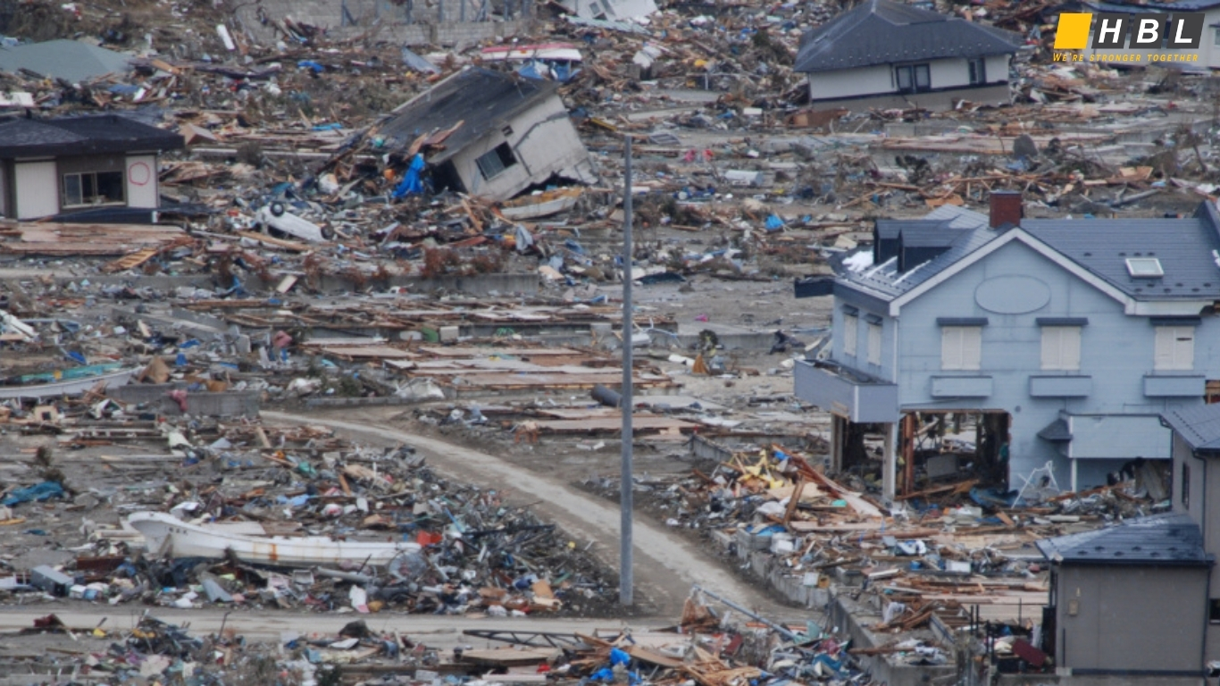 the Tohoku earthquake