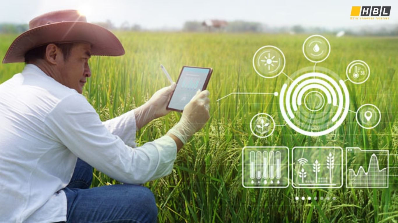 Key Challenges of Smart Agriculture Solutions
