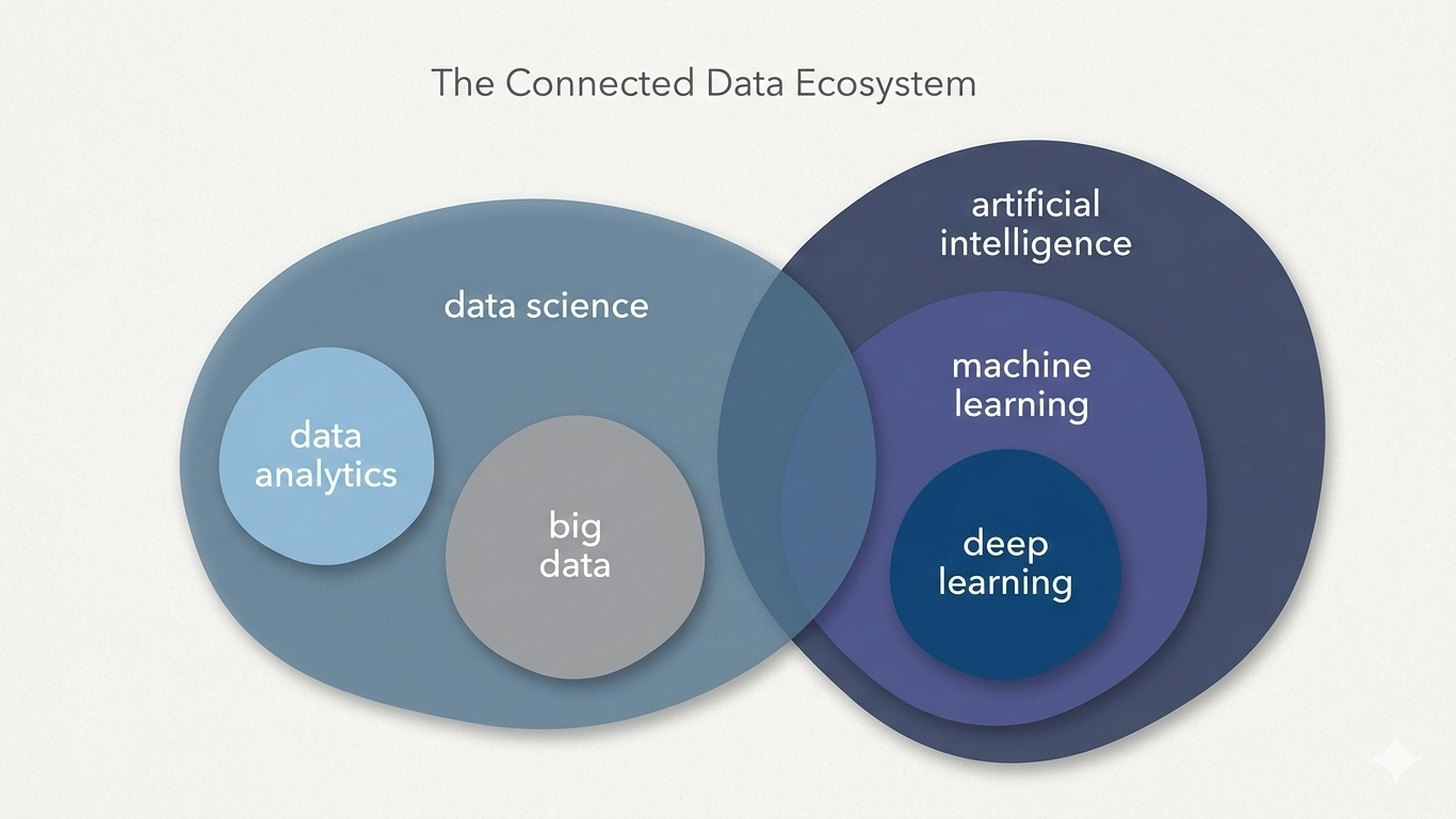 Data science and AI relationship diagram.